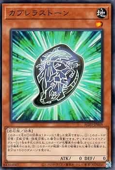 遊戯王　光の追放者　PCパラレル2枚 Amazon.co.jp: 遊戯王OCG 集いし願い パラレル仕様スーパーレア 20AP