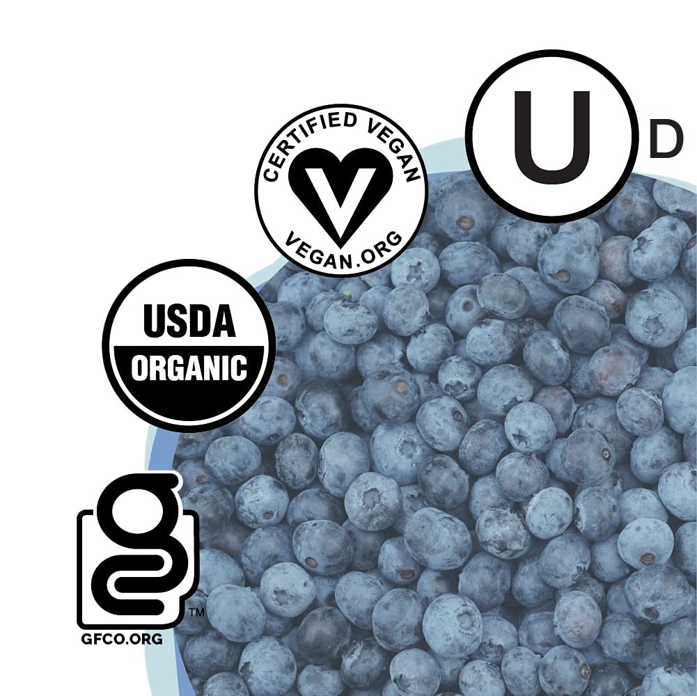 Skout Organic Blueberry Blast Kids Snack Bars (36 Pack) | Organic Kids Snack Bars| Plant-Based Nutrition, No Refined Sugar | Vegan & Paleo | Gluten, Dairy, Grain, Peanut, Tree Nut & Soy Free