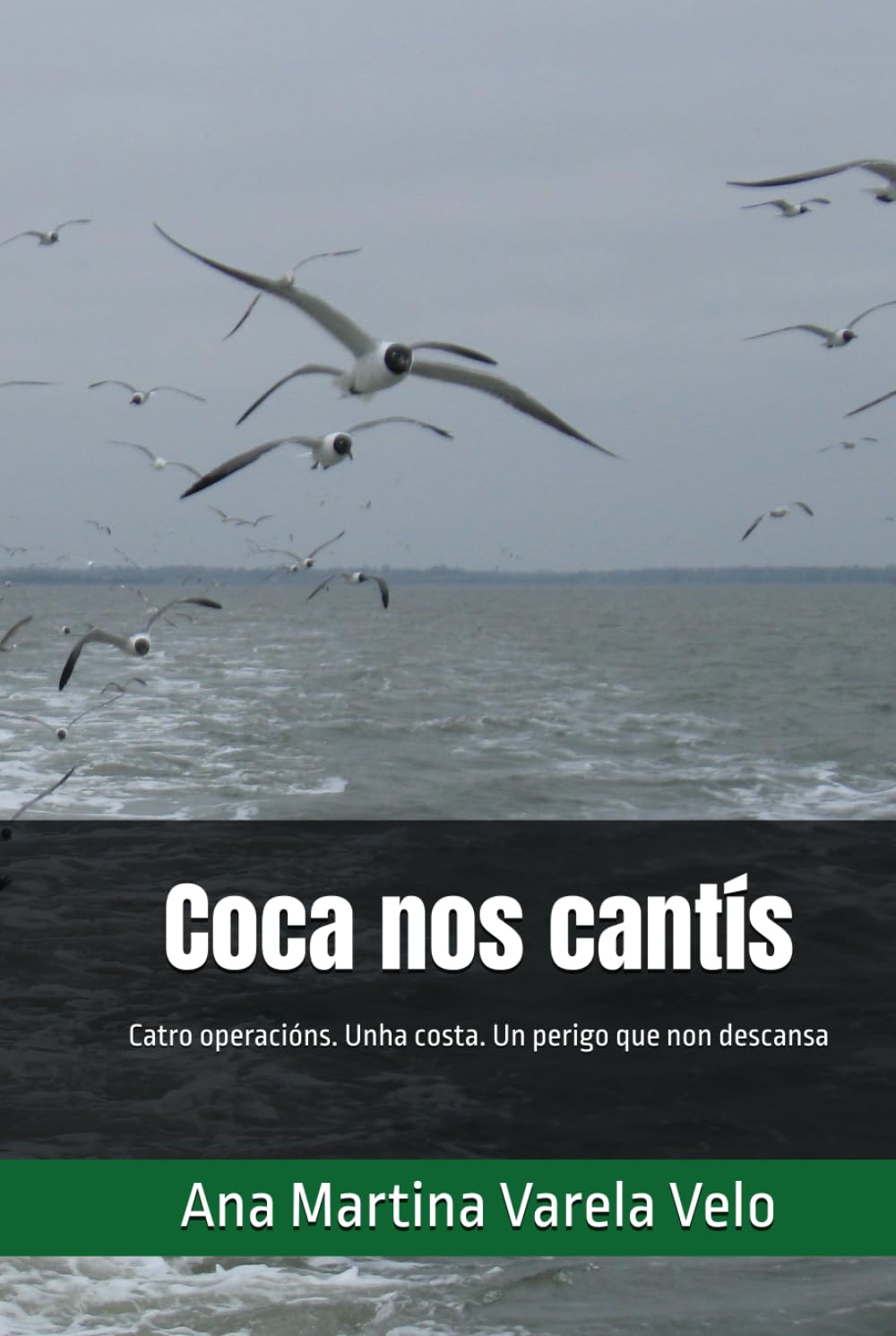 Coca nos cantís: Catro operacións. Unha costa. Un perigo que non descansa