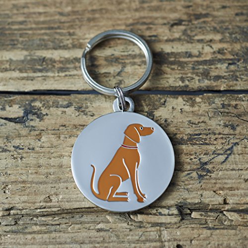 Portachiavi con targhetta per cani Vizsla