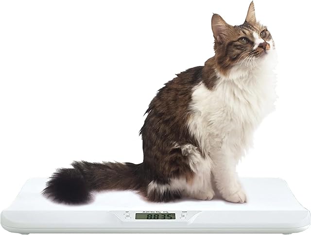 Multi-Functional Baby and Pet Scale (Suitable for Small and Medium-Sized Under 20KG (40LB) Pet Puppy and Kitty Scale Cat Scale Dog Scale Baby Scale
