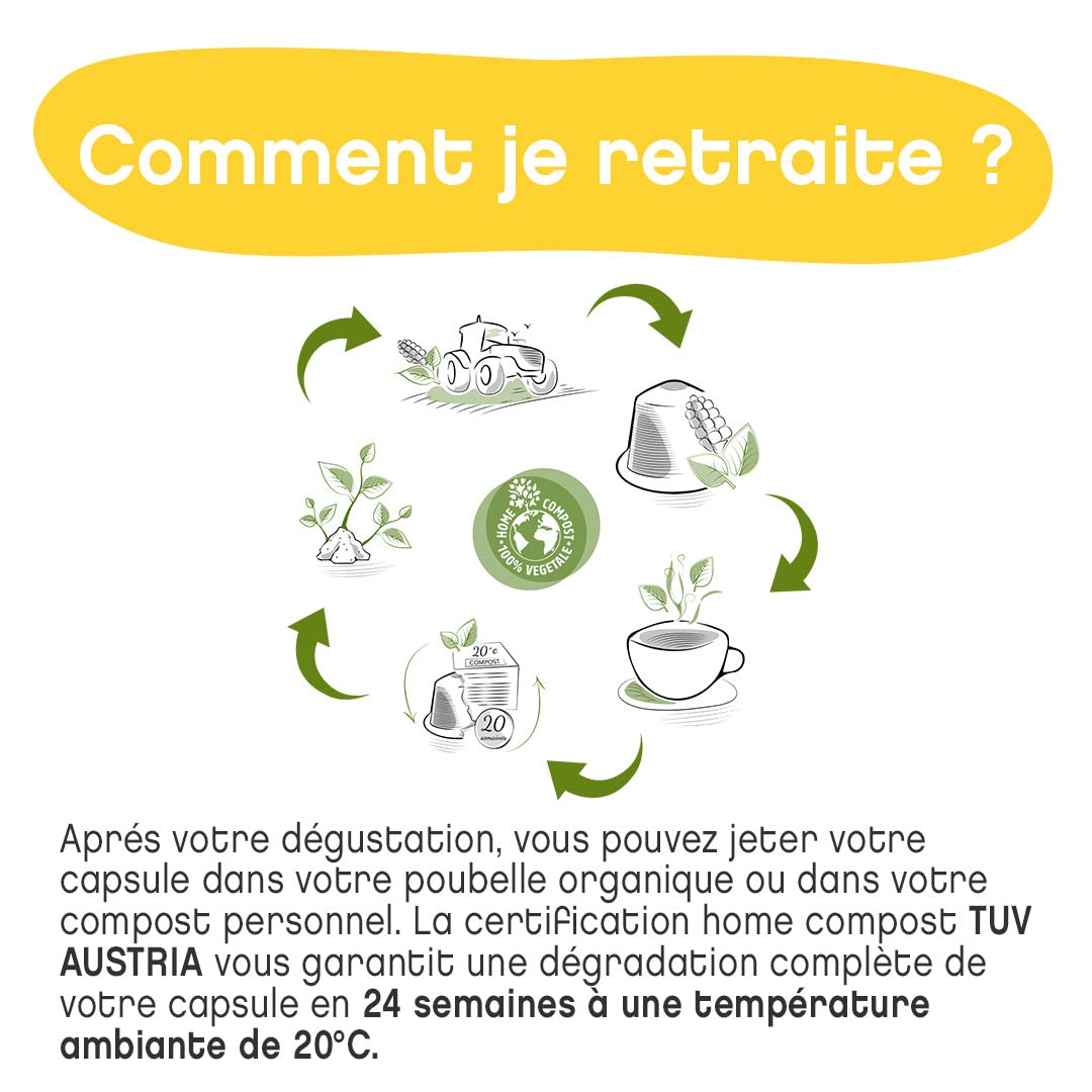 TERRAMOKA - Exzellenter entkoffeinierter Bio-Kaffee - 100% reiner Arabica aus Peru - Original und elegant - 60 Kapseln Kompatibel Zero Waste - Mister Nelson - Frankreich