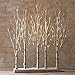 Raz Imports 30 Inch Lighted Birch Grove Tree