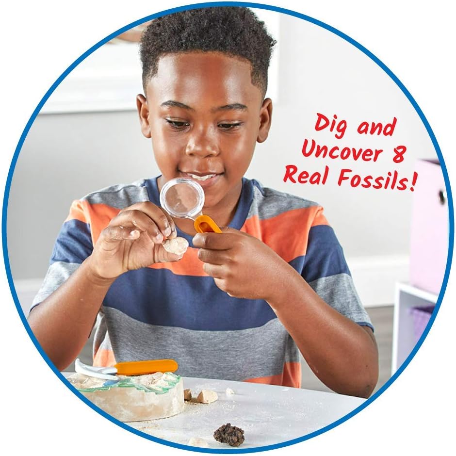hand2mind Dig & Display Fossil Dig Kit, Fossil Display Case, 8 Real Fossils to Uncover, Dig Kits for Kids, Fossil Digging Kit for Kids, Excavation Kit for Kids, Fossil Science, Archeology Kits
