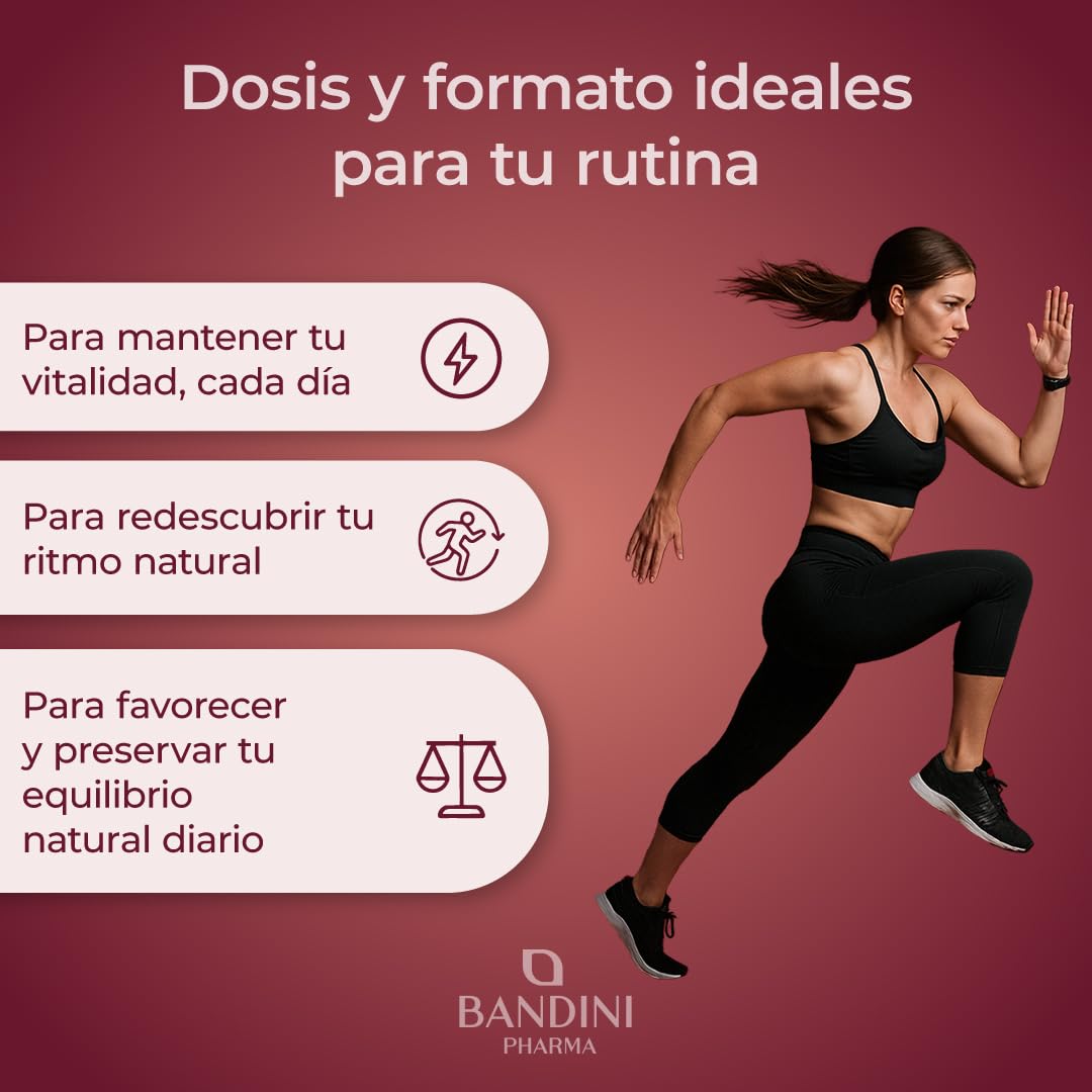 Bandini® Reishi hongo 270 comprimidos | Equivalentes de 16.900 mg (13:1) | 40% de polisacáridos | Extracto de Ganoderma Lucidum | Para +4 meses | Complemento alimenticio puro 100% Vegano y Natural