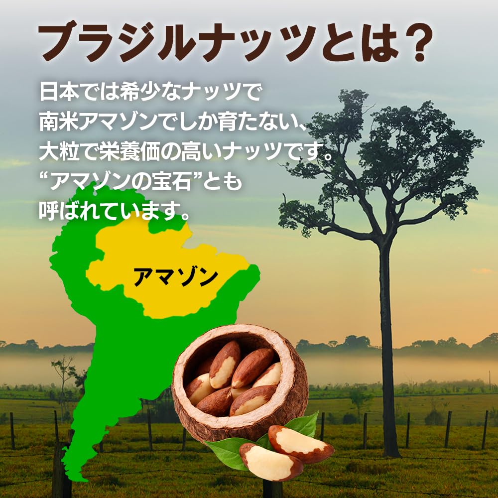 Amazon.co.jp: 生ブラジルナッツ 1kg 産地直輸入 豊富なミネラル