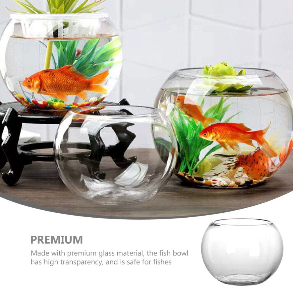 Yardwe Goldfischglas aus Glas, Rundes Kugelaquarium für Pflanzen, 15cm Kugelvase Deko, Transparentes Aquarium für Tisch und Büro