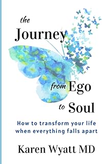 The Journey from Ego to Soul: How to Transform Your Life When Everything Falls Apart