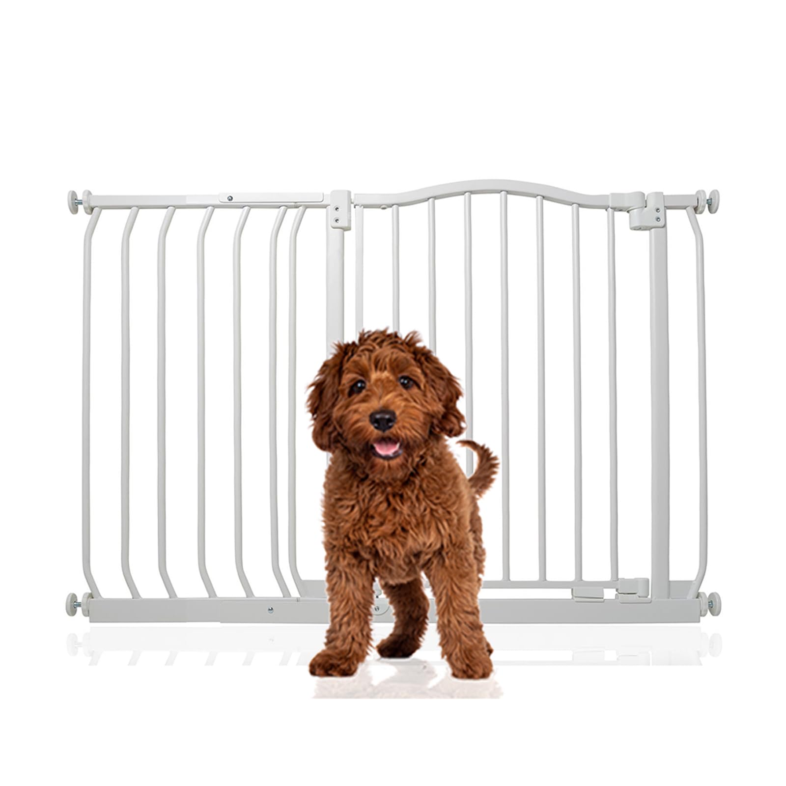 Bettacare Curved Top Dog Gate, 161cm - 170cm, Matt Black, Pressure Fit Pet Gate for Puppy and Dog, Easy Installation — view 19