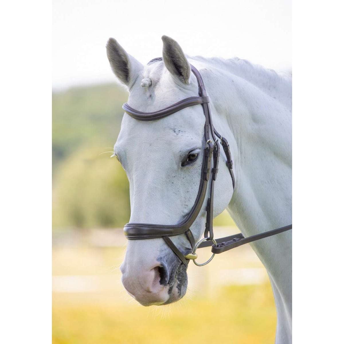 Shires Velociti - Brida ergonómica curvada para flash - Havana Cob