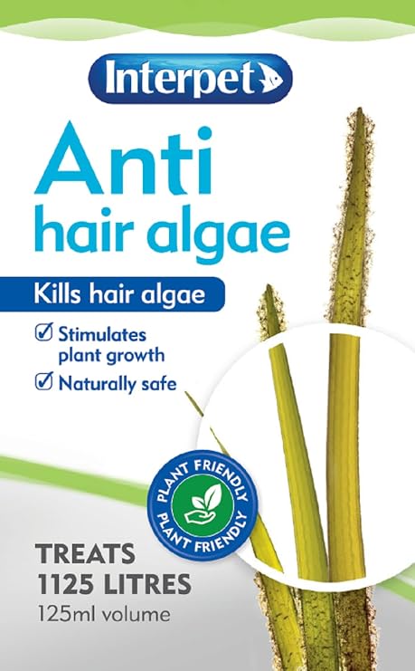 Interpet Anti Hair Algae Aquarium Fish Tank Water Treatments, Kills Green Black & Brown Hair Algae, 125 ml, Treats 1125 Litres