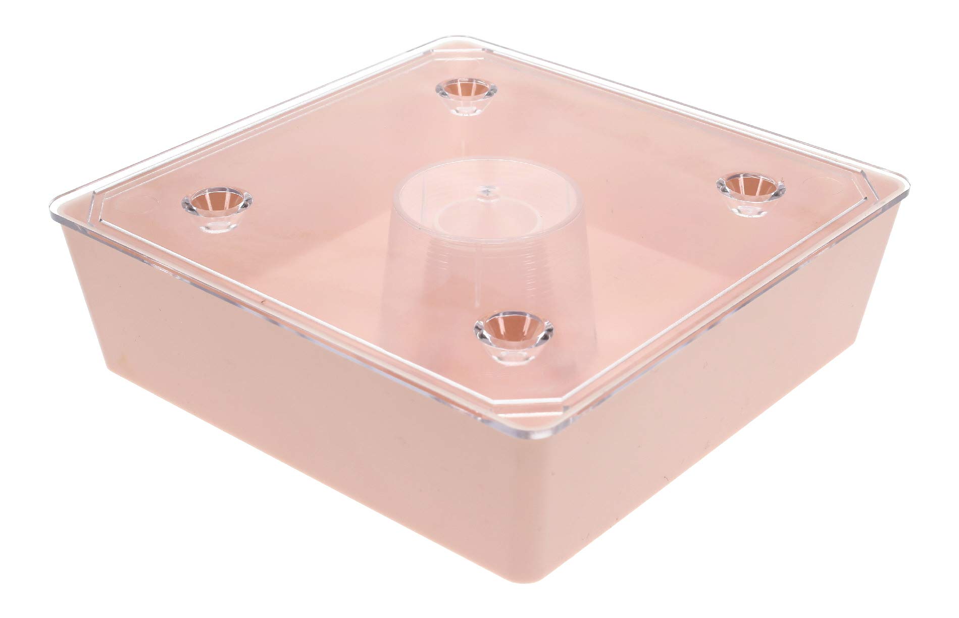 3 x Kunststoff Futtertrog, Bienen Fütterer 1l quadratisch zum schnellen und einfachen Füttern der Bienen - Preis pro Stück 7,17 Euro