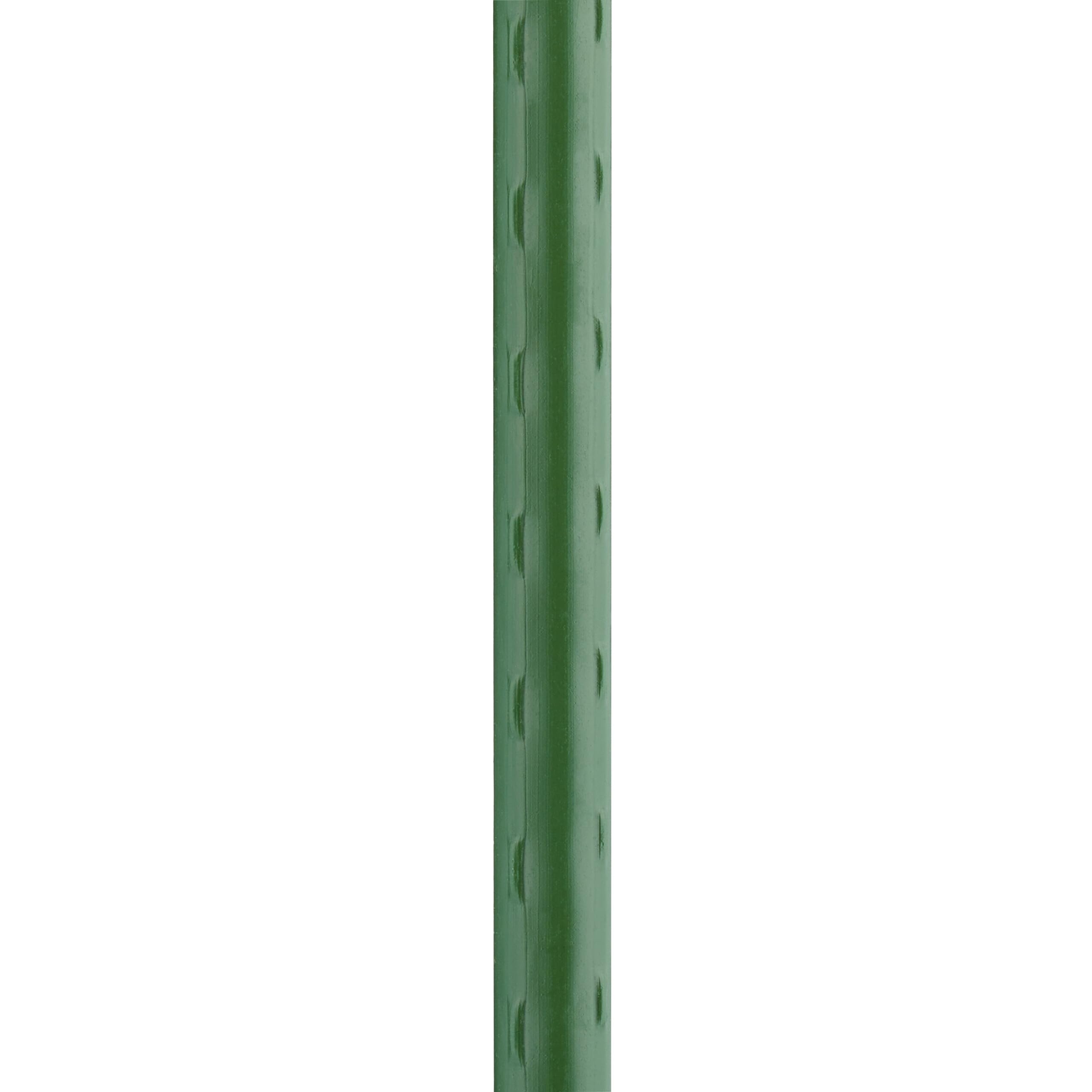 Relaxdays pałeczki do roślin, 10 sztuk, 100 cm, Ø 10 mm, stal, tworzywo sztuczne, zewnętrzne, podpórka do roślin, pomidory, zielone