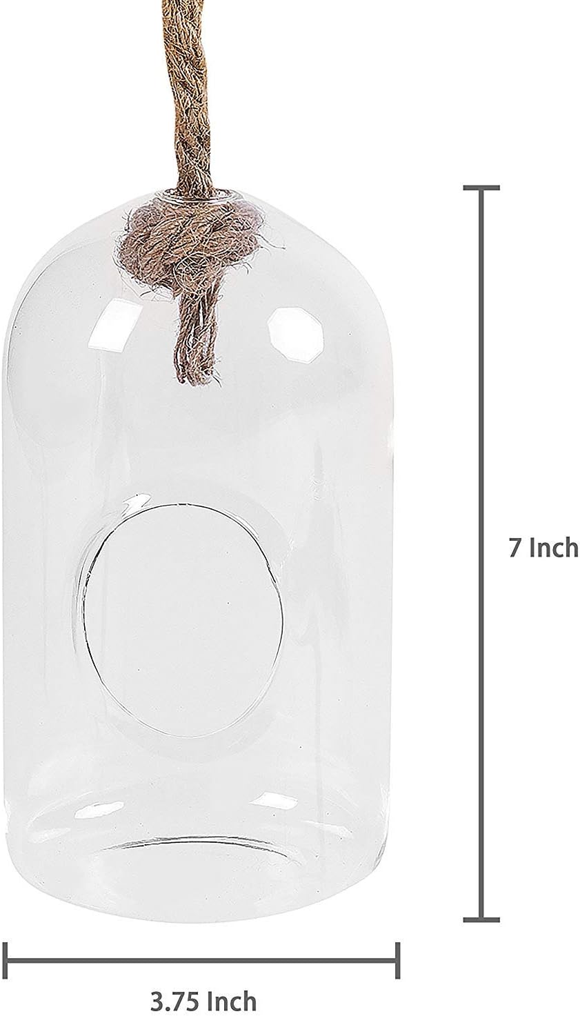MyGift Hanging Planter Plant Terrarium, Clear Glass Cylindrical Succulent Holder with Top Knot Hanger Rope, Set of 2