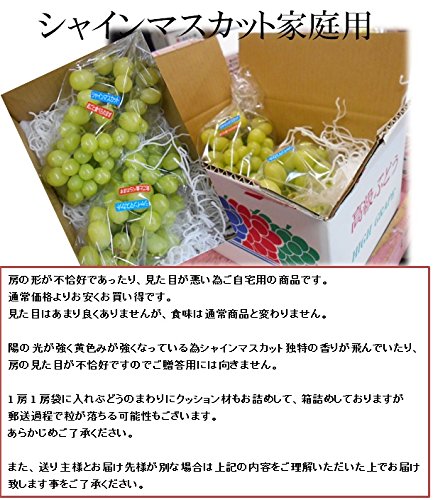 内田フルーツ農園 シャインマスカット 2.5㎏ の商品画像 1