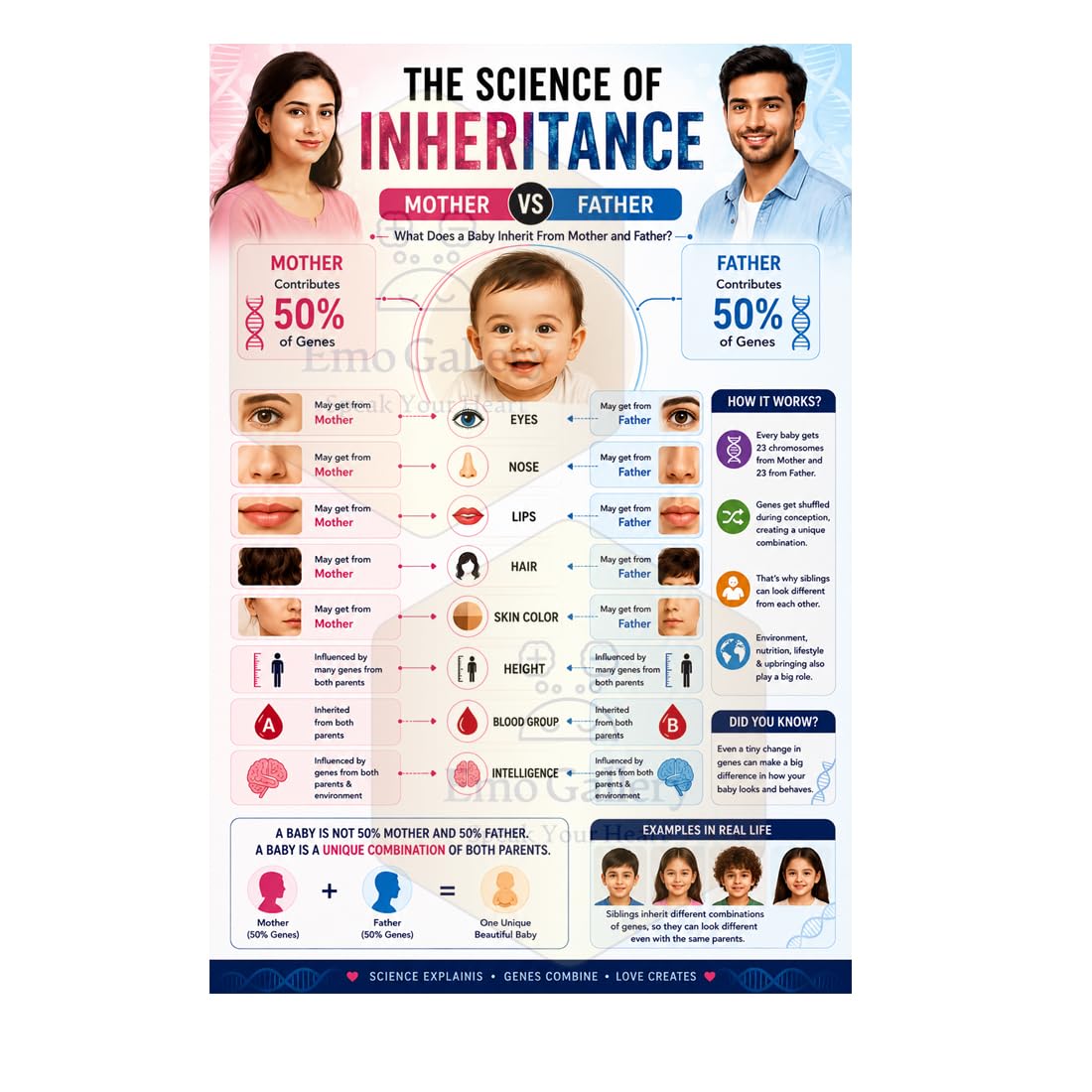 The Science of Inheritance Educational Poster | Mother vs Father Genetics Chart | Baby Traits, DNA, Chromosomes & Heredity Learning Wall Poster for Clinic, Hospital, Medical College, Biology Classroom & Students | Self-Adhesive Waterproof & Oilproof Vinyl | 48 cm x 33 cm-image-38