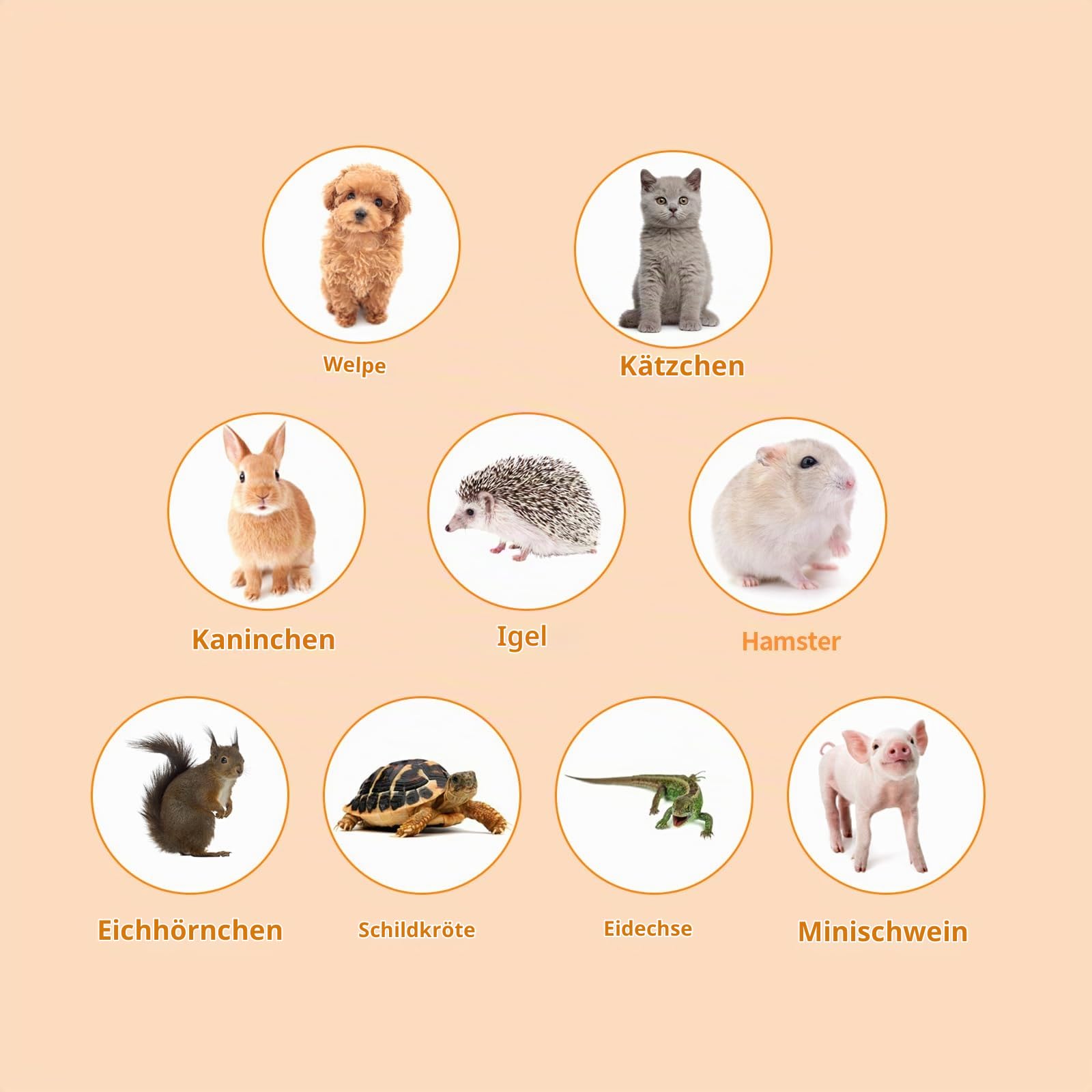 Keyzone Outdoor-Katzengehege für Indoor-Katzen, 6-in-1 tragbares Katzenspielhaus (Outdoor-Katzenzelt und runder Katzentunnel) für Katzen und Kleintiere, Indoor-Laufstall mit Tragetasche (6-in-1-Set)