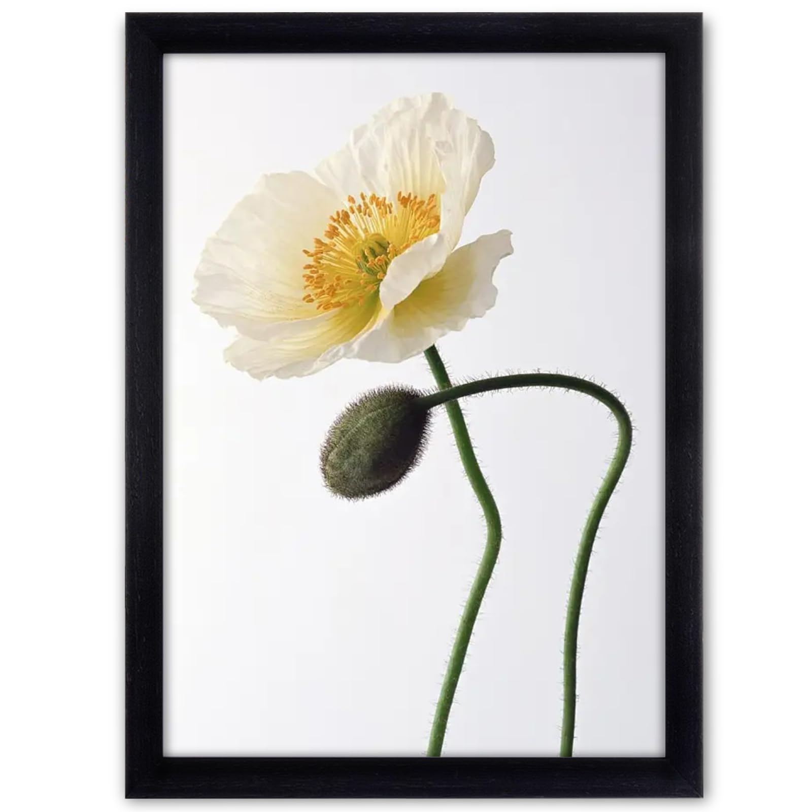 Cadre Photo Moderne Naturel En Bois MDF,Cadre Transparent Recto - Verso,pour Décoration Murale Et Table,Cadre Photos Flottant Transparent Pour Affiches Certificats Spécimen,Cadre A4 / A3 / A2