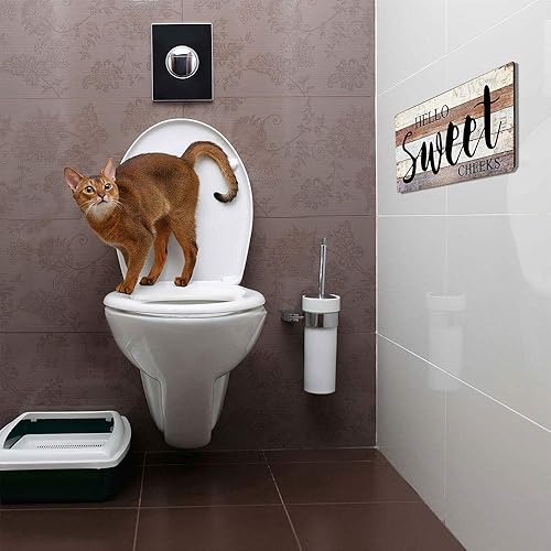 Miniatura 3 de Letreros divertidos para decoración de baño, letrero de madera con texto en inglés Hello Sweet Cheeks, 16 x 8 pulgadas