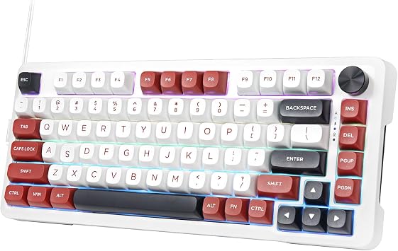 e元素 Z82 Gaming Keyboard, Mechanical Keyboard with Silver Wood Axis, Hot Swappable, Lubricated Linear Silver Axis Switches, Anti-Ghost Keys, RGB Backlight, 82 Keys Custom Gaming Keyboard for PC