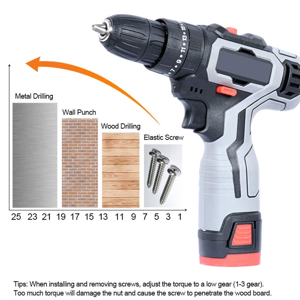 Trapano Avvitatore a Batteria Professionale da 18 V, cacciavite Elettrico, con 2 batterie agli ioni di Litio, 2 velocità, 25 + 1 impostazione della Coppia con LED, 1 Batteria
