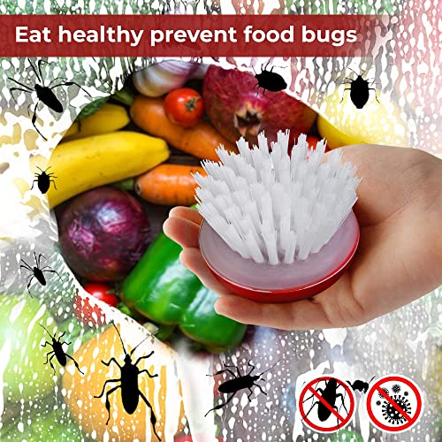 Vegetable Brush Scrubber For Food – 2Pcs Set Fruit And Veggie Brush – Silicone Top And Ultra-Strong Bristles Potato Scrubber – Palm Held Ergonomic Design – Easy To Clean – Red And Green #TOP7