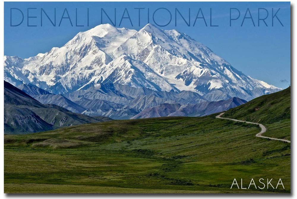 Aimant Denali National Park Alaska 6,3x8,9 cm pour frigo