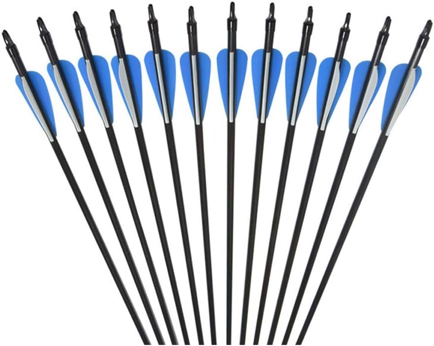 OEELINE 16 Pcs Archery Targeting Arrows Fiberglass 31 Inch Archery for Recurve Bows Longbows Practice : Sports & Outdoors