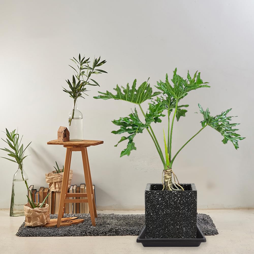 Pflanzen-Untersetzer, 30,5 cm, quadratisch, 4 Stück, Kunststoff-Pflanzentropfschalen, Pflanzen-Untersetzer für drinnen und draußen, Blumentopf-Untersetzer, Untersetzer für Topfpflanzen