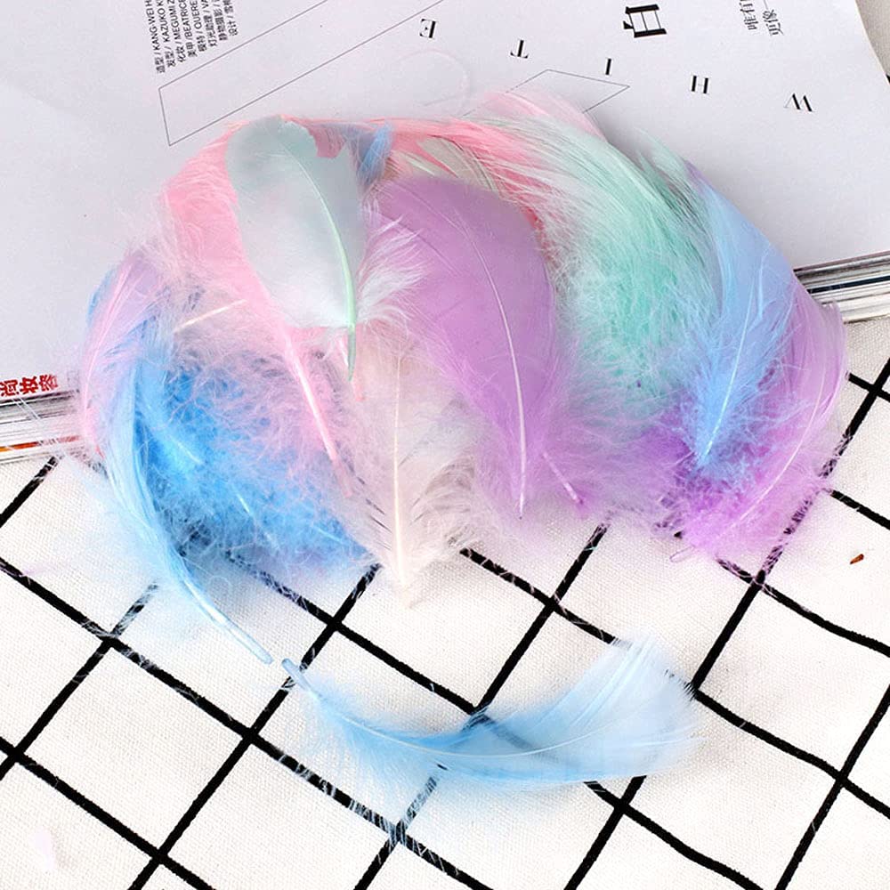 Lot De 200 Plumes Noires Pour DIY - Décoration, Mariage, Attrape-Rêves, 6-22 Cm