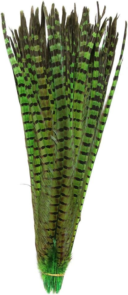 Pheasant Tails Feathers,Hgshow 10Pcs Plume Products Assorted Natural Feathers,About 20-22 inches,50-55cm Long