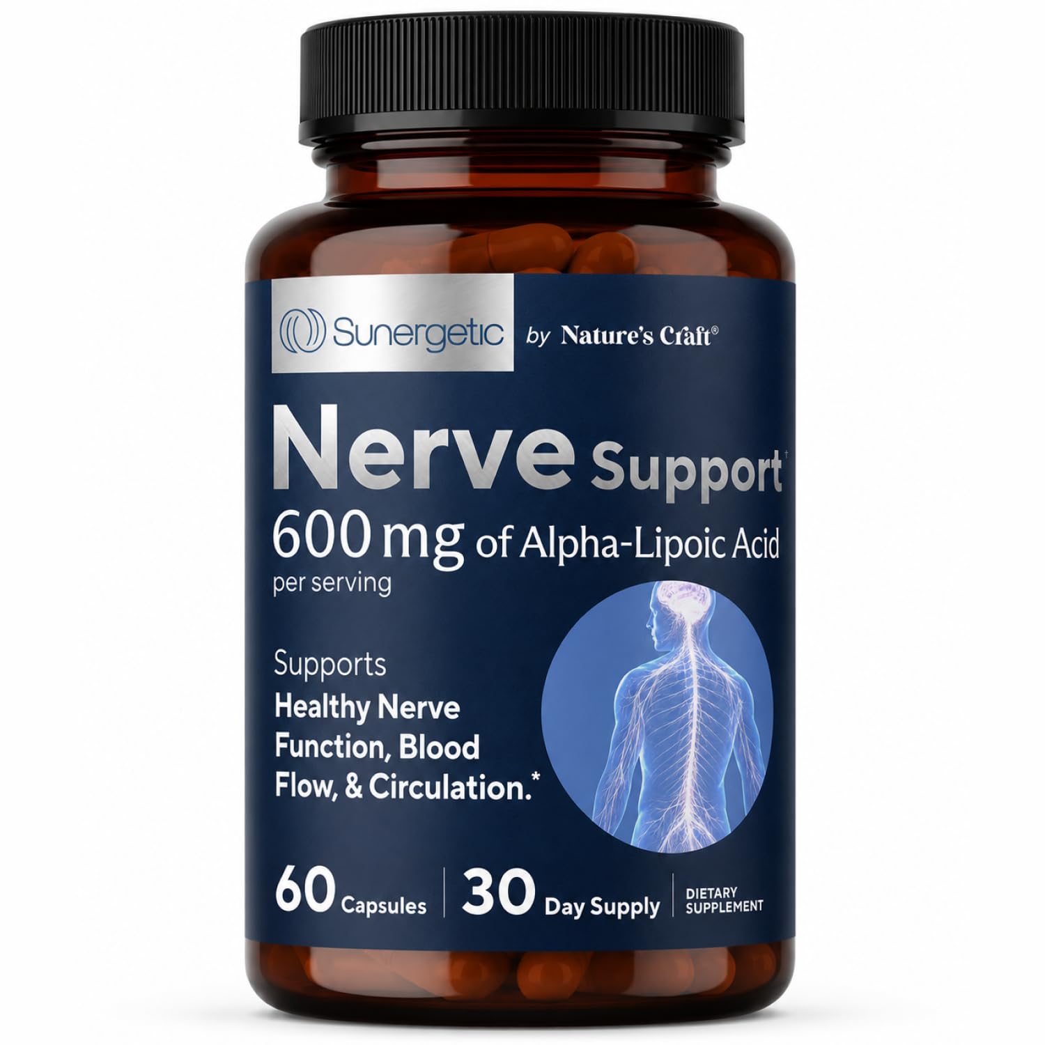 l carnitine nerve damage Amazon.com: Premium Nerve Support Supplement – with Alpha Lipoic Acid (ALA)  600 mg, Acetyl-L-Carnitine (ALC) & Benfotiamine - Nerve Support Formula for  Healthy Circulation, Feet, Hands & Toes