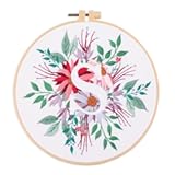 Amiiba Embroidery Starter Kit with Letter S Pattern, DIY Full Range Stamped Embroidery Cross Stitch Kits for Beginners Adults (Letter S)