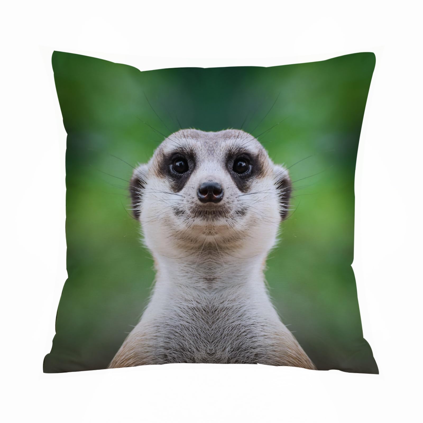 Aelksp A Selective Focus Shot Of A Meerkat Face - A6 Cushion Cover Decorations Pillow Cover Home For Livingroom Couch Sofa Decor Throw Pillow Case Gifts,A Selective Focus Shot Of A Meerkat Face,18X18 In
