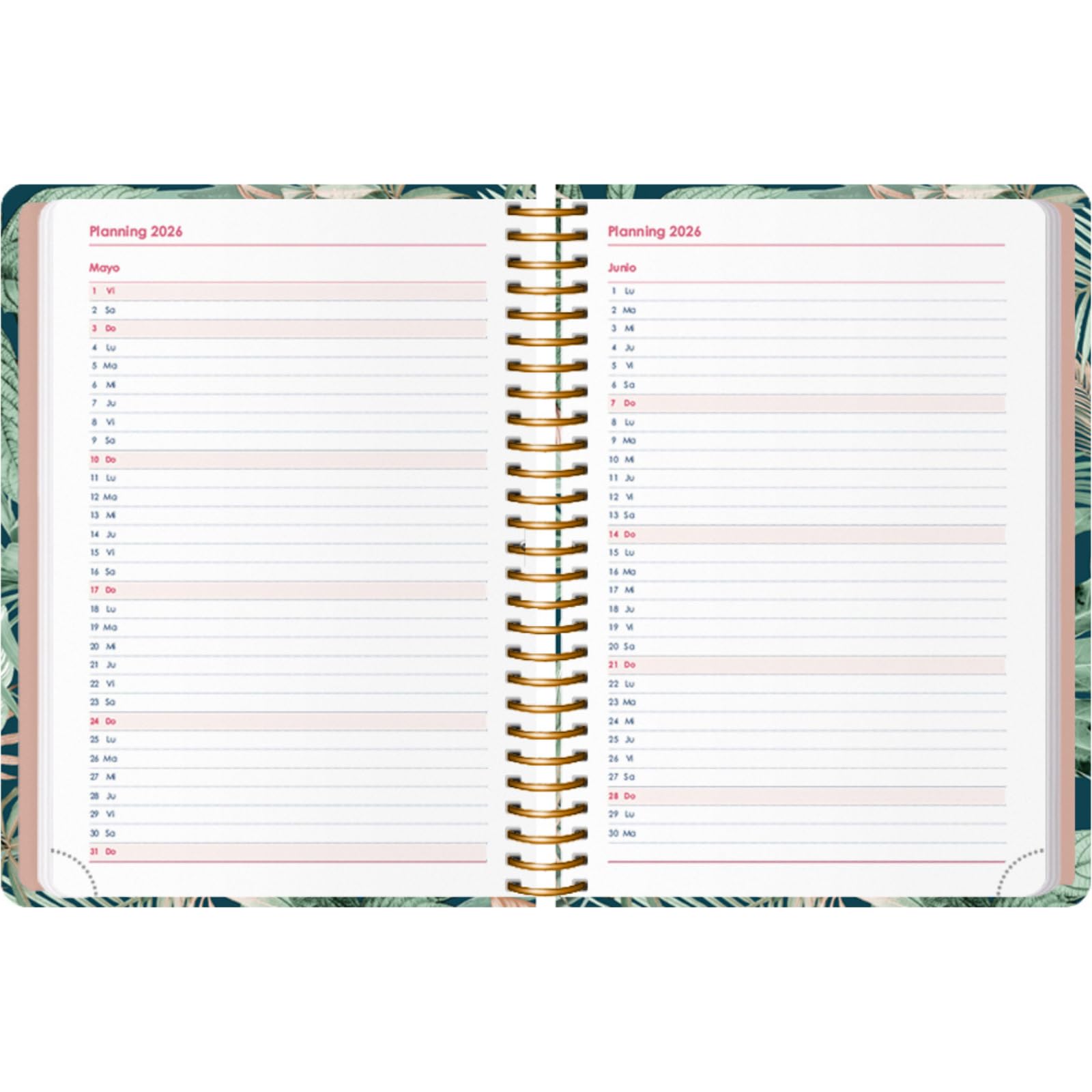 WWF – Agenda 2024 Grande Diaria De 12 Meses, Cierre Con Elástico, Con Tapa De Material Reciclado De Procesamiento Alimentario, 352 Páginas Interiores, Formato 13 X 21 Cm, Verde
