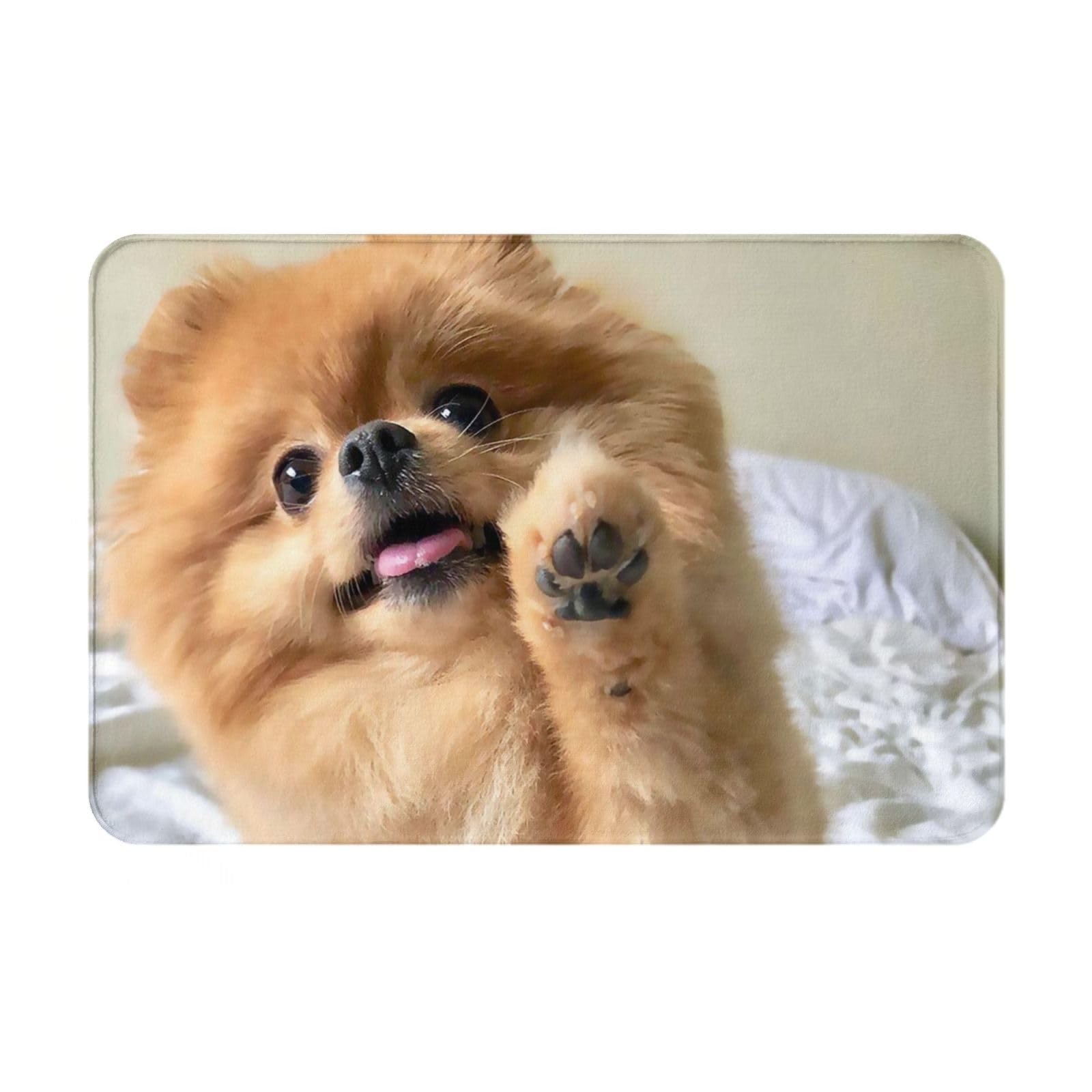 Amazon｜ポメラニアン犬 玄関マット 屋外 室内 足拭きマット