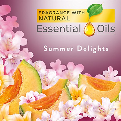 Air-Wick-Pure-Freshmatic-Automatic-Spray-Starter-Kit-Gadget-2-Refills-Summer-Delights-Air-Freshener-Essential-Oil-Odor-Neutralization-Packaging-May-Vary Air-Wick-Pure-Freshmatic-Automatic-Spray-Starter-Kit-Gadget-2-Refills-Summer-Delights-Air-Freshener-Essential-Oil-Odor-Neutralization-Packaging-May-Vary