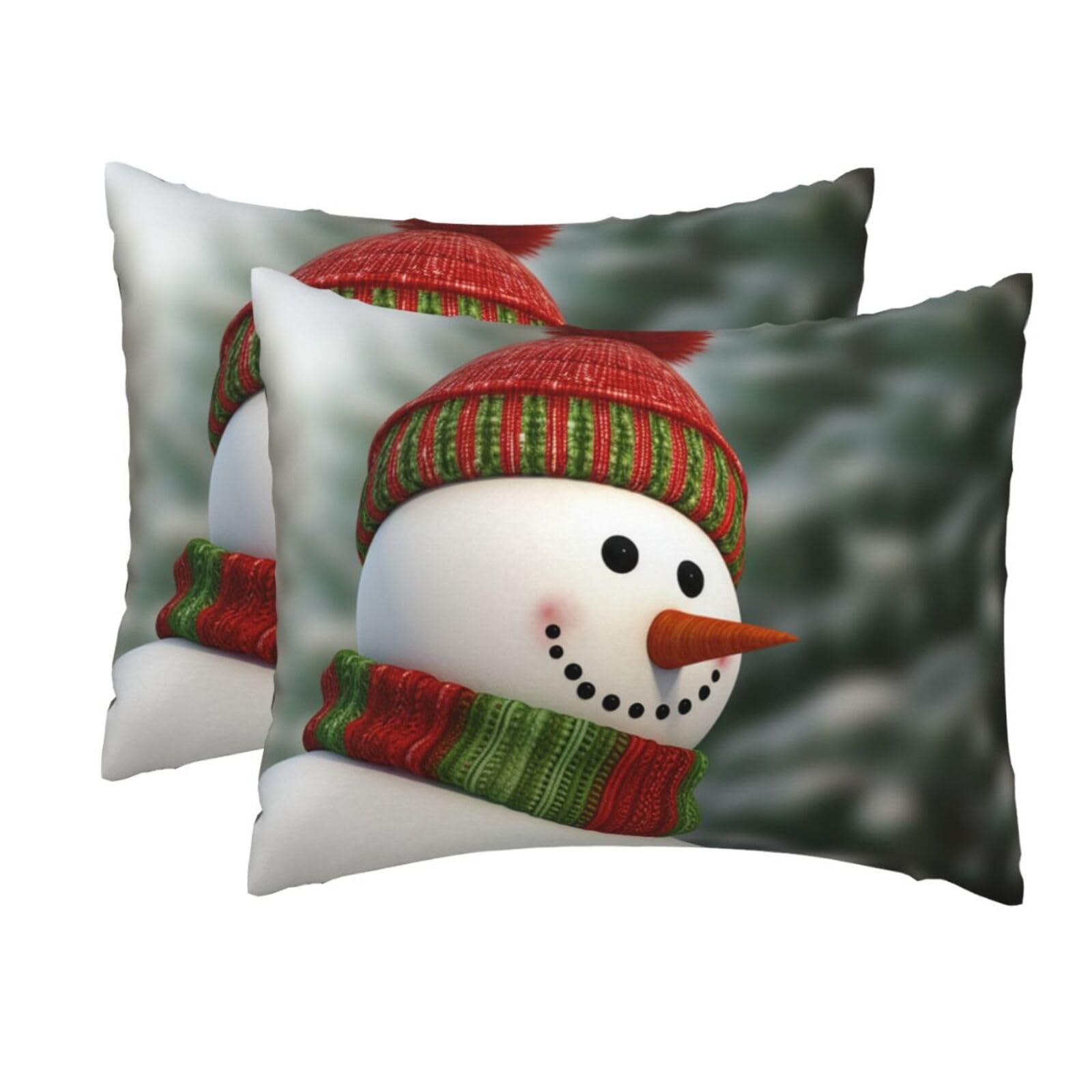 2 Pack Standard Size Pillow Cases for Hair and Skin Soft Breathable Pillow Case Covers with Hidden Zipper Smile Gaze Snowman Pillowcase 20x26 Inches Pillow Cover for Sleeping Gift