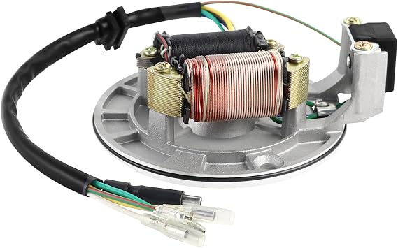FLYPIG 2-Coil Ignition Magneto Stator for 50cc 70cc 90cc 110cc 125cc Taotao Roketa Sunl Dirt Bike ATV Quad