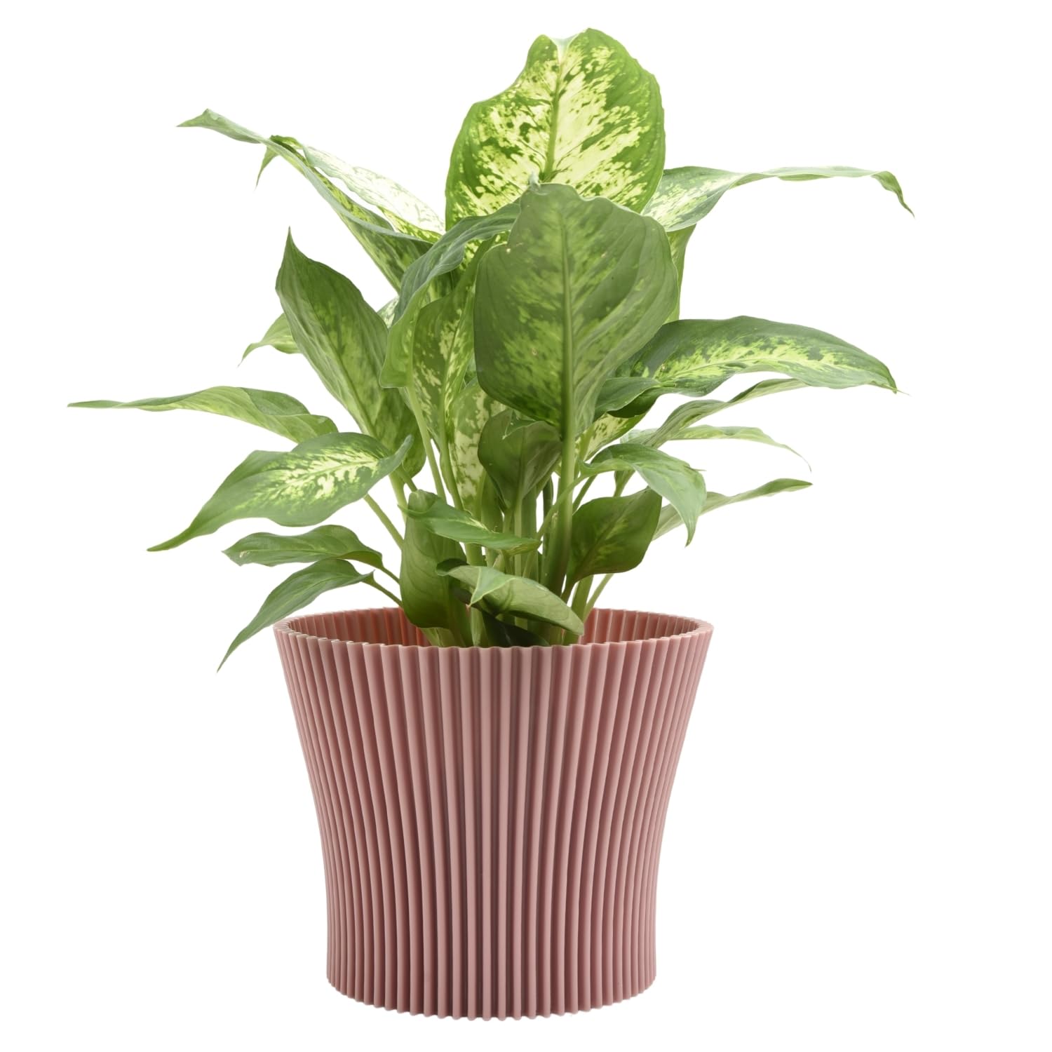 B2c Powder Pink Matt Ribbed Flower Pot – Modern Flared Conical Planter With Pleated Design, Lightweight, Indoor/Outdoor Decorative Plant Pot – Multiple Sizes & Colors (, 11Cm)