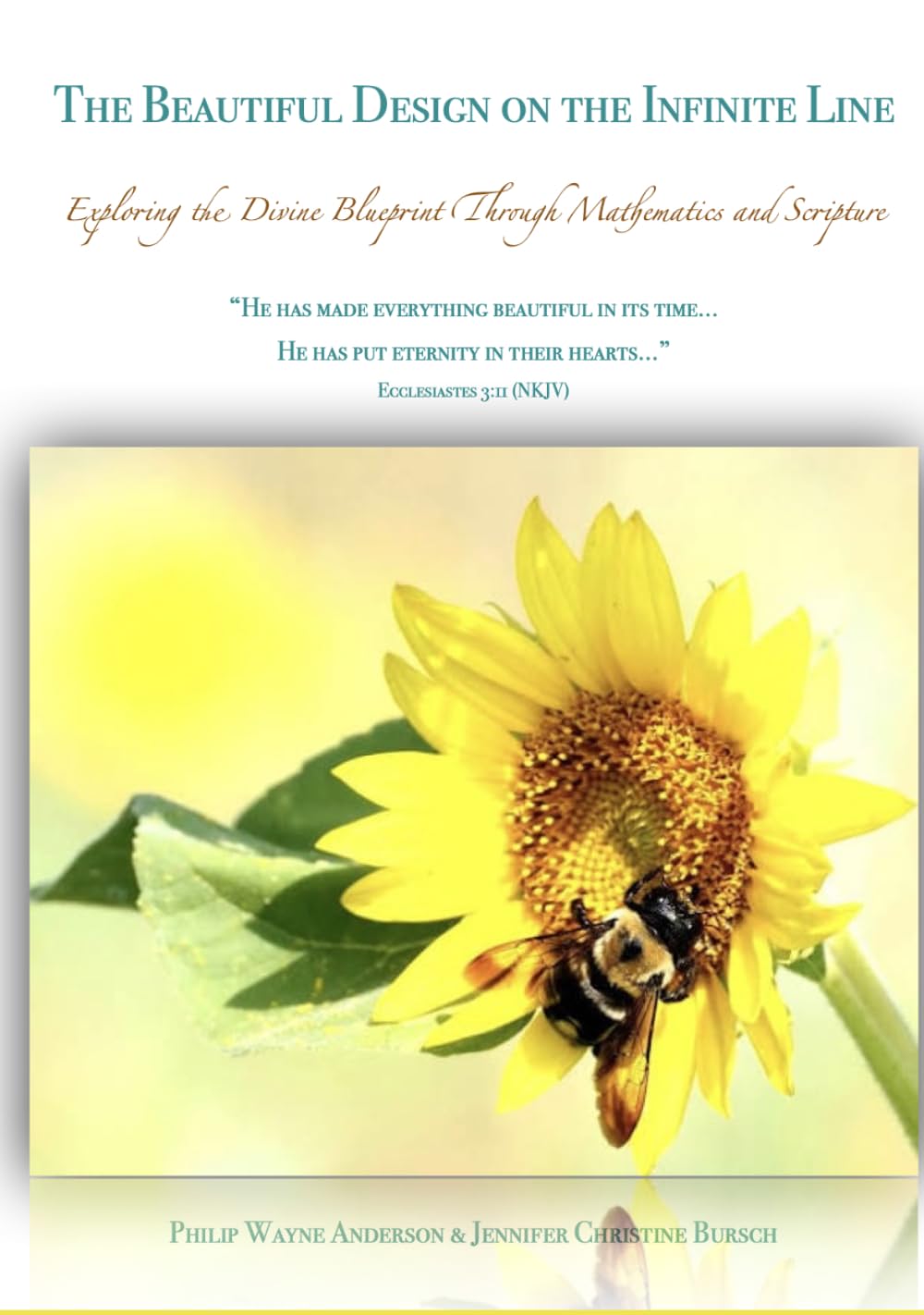 The Beautiful Design on the Infinite Line: Exploring the Divine Blueprint Through Mathematics and Scripture
