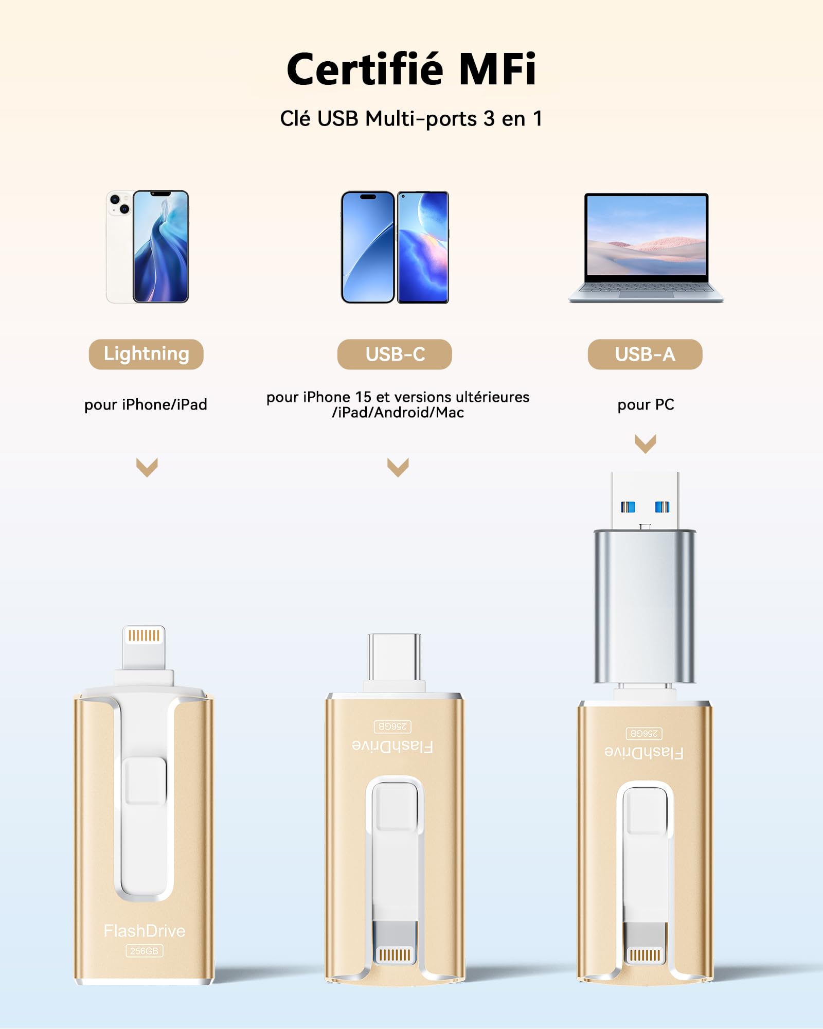 SUDEHO Chiavetta USB-C da 256 GB, chiavetta USB per iPhone, MFi certificata (oro) | Design 3 in 1 per iPhone, iPad, USB-C, Android e PC. Trasferimento ad alta velocità di foto, video e file.