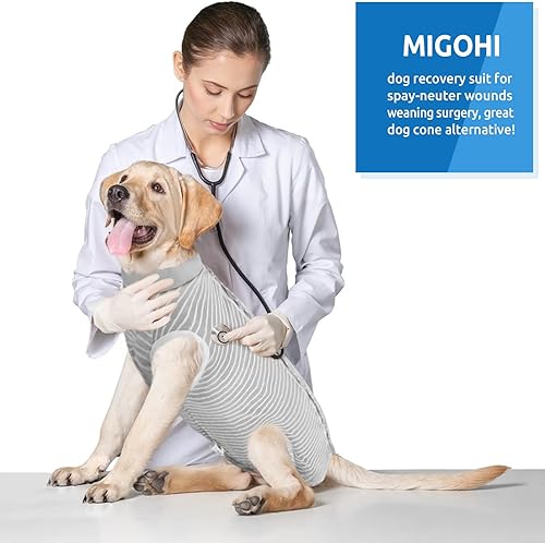 Miniatura 7 de MIGOHI Traje de recuperación para perro, antilamidas y mordeduras, enterizo quirúrgico para después de la cirugía, body profesional para perros