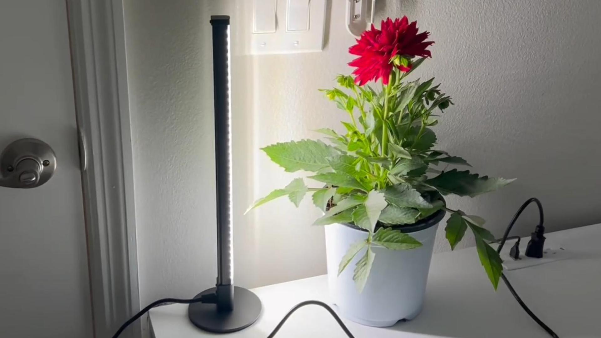 Amazon.com : SpeePlant Vertical Grow Light, 72 LEDs Full Spectrum