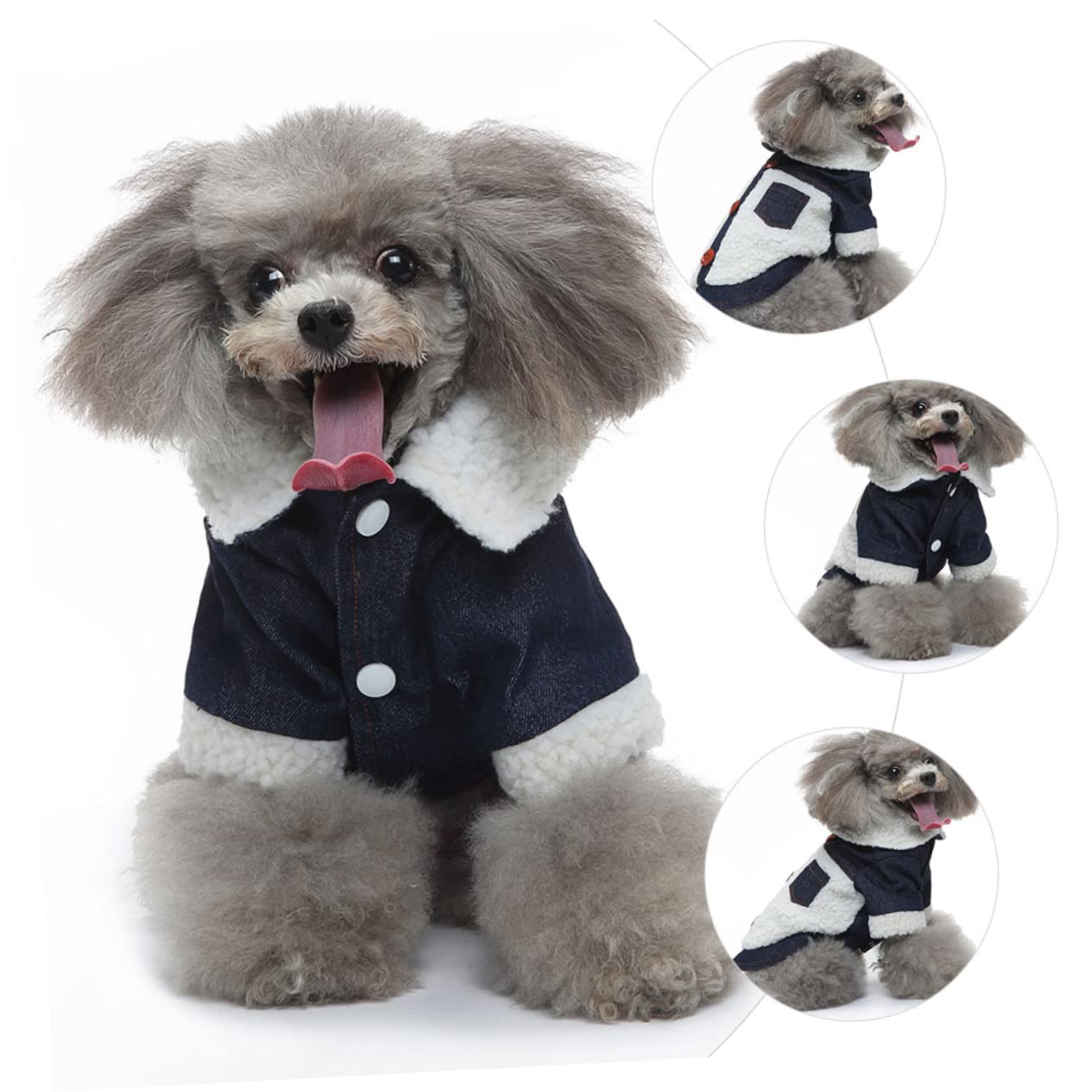 YARNOW 2pièces Manteau Hiver pour Chien Coton Respirant Chaude Et Coupe-Vent pour Animaux Vêtement Stylé Et Confortable Beige