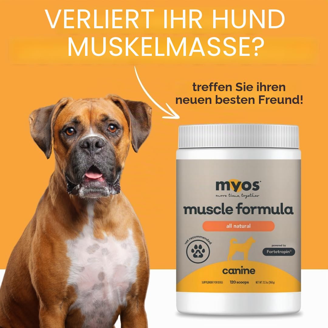 MYOS Canine Muscle Formula - All-Natural Muskelaufbau Supplement - Hilft Muskelverlust bei Hunden durch normales Altern zu reduzieren und verbessert die Erholung nach Verletzungen oder Operationen