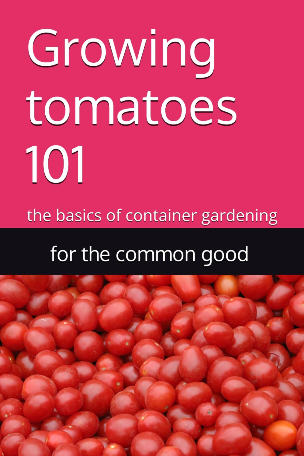 Growing tomatoes 101: the basics of container gardening