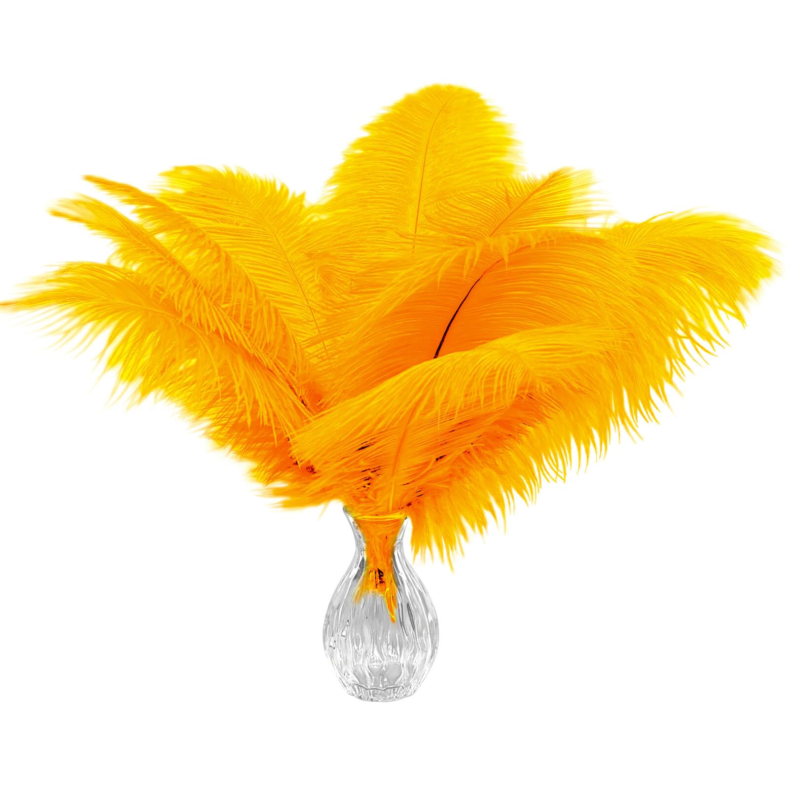 Plumes d'autruche dorées et soyeuses de 30 cm pour décors de table prestigieux