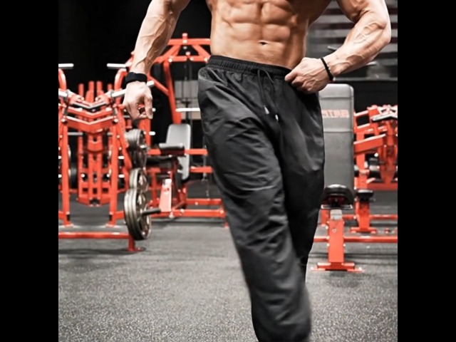 BODY TRAINING SYSTEM JAPAN トレーニングパンツ M Amazon | [OROLN] トレーニングパンツ 大きいサイズ メンズ