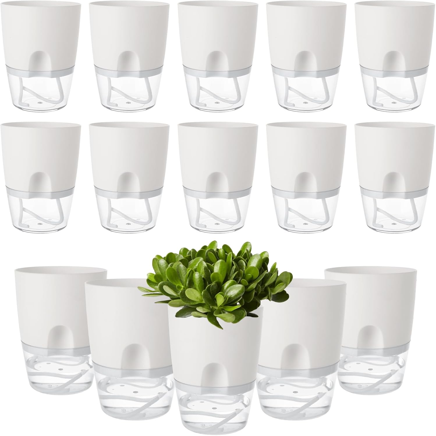 15 PCS 4 Inch Self Watering Pots for Indoor Plants Small Self Watering Planter with Self Watering Wick White Clear Plastic African Violet Pots Self Watering Plant Pot for Indoor House Plants